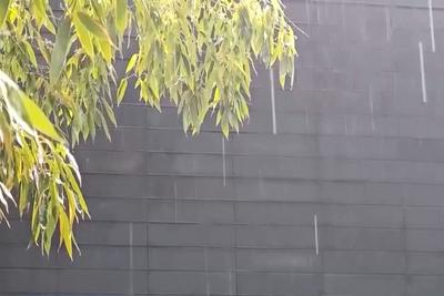 中东部此轮降雨还要下多久？气象专家分析→