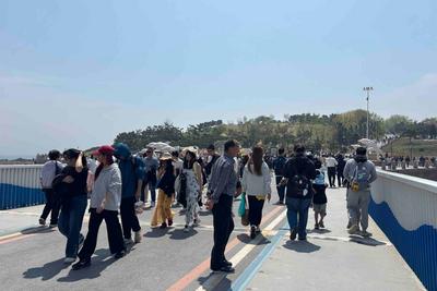 游客出游兴致增长，青岛上榜“境内自驾游热门目的地TOP10”