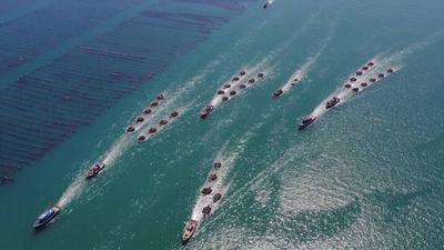经济大省挑大梁｜种海带种成“叠叠乐” 立体生态养殖让水质优化渔民增收