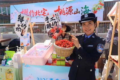 北宅樱桃红透半边天！青岛创新“警旅融合”模式，将警务触角延伸到樱桃园深处
