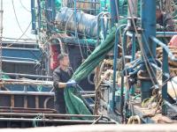 青岛进入伏季休渔期，3400余艘渔船停港休渔