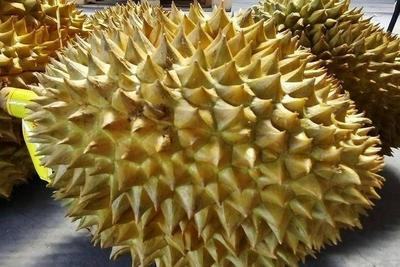 “榴莲自由”成为热门话题！榴莲价格为何更“亲民”了？