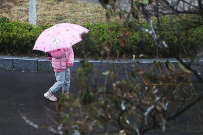 青岛普降小到中雨局部大雨，偏东部雨量大！今天白天仍有小雨