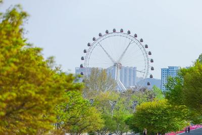 青岛今天晴转多云，市区最高气温24℃，最低气温20℃