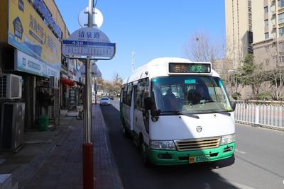 周末出行更便捷！青岛预约公交开通满三月人气攀升