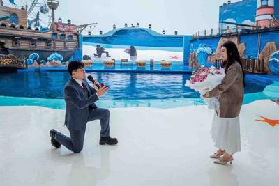 海狮助力求婚成功！青岛极地浪漫名场面氛围感拉满