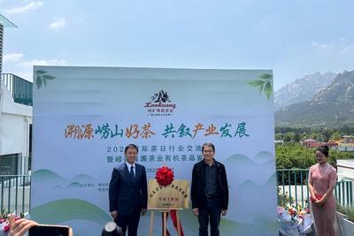 用心做好“一杯茶”！2026国际茶日行业交流会暨崂山有机茶品鉴活动举行