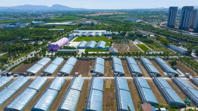 时政眼丨片区化推进乡村振兴，最快的脚步是“坚持”