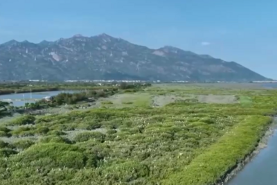 万物共生 美丽中国 | “数”说物种多元、结构稳定的生态宝库 海洋生物加速回归