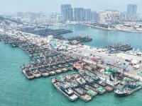 青岛进入伏季休渔期，3400余艘渔船停港休渔