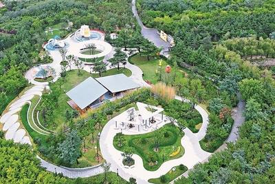 央媒看青岛 | 光明日报关注青岛：推窗见山海，出门入公园