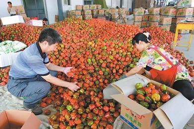因地制宜谋 求真务实干（前沿观察·锻造推动产业发展的行家里手）