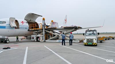 打通沿海口岸与中原腹地高效空运通道！青岛至郑州全货机航线复航
