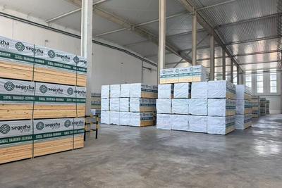 中欧班列济南—青岛集结中心青岛枢纽园区保税仓库再添新品类