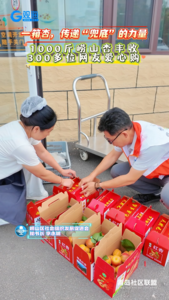 一箱杏，传递“兜底”的力量｜1000斤崂山杏丰收，300多位网友爱心购