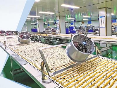 蹲点调查丨一块钙奶饼干里，藏着这座“中国食品城”的进击路