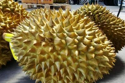 “高考前千万不要吃榴莲”登上热搜，网友：好小众的考前注意事项