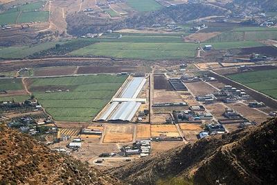 巴方谴责以方在约旦河西岸强推定居点扩建计划