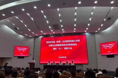 如何将组织优势转化为发展优势？青岛召开的这场会议进行重点部署