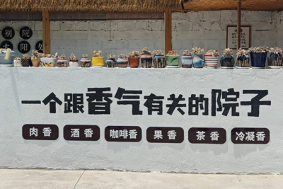 辞掉总监进山当农夫，这对“80后”夫妻在崂山乡村建“香气小院”传技艺