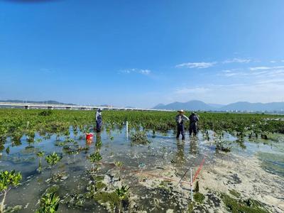 青岛两项成果入选！2025年度地质调查十大进展、地质科技十大进展发布