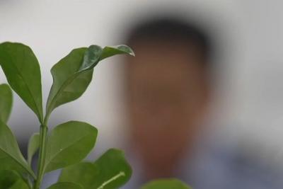 “新年快乐”竟是交易暗号，警方破获特大贩毒案