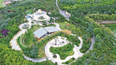 建成园林绿化废弃物资源化处置试点13处！青岛已创建34个“无废公园”