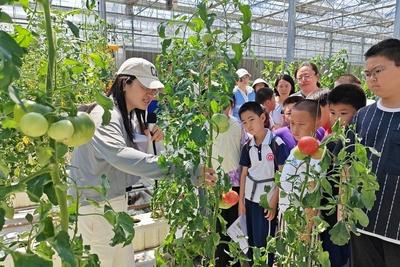 珍惜每一寸土地！青岛开展第36个全国土地日主题宣传活动