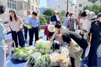方寸之间暖民心！青岛市南区探索开放式楼院可持续管理模式