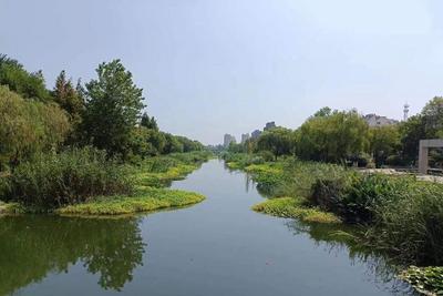 2030年建成49条高品质幸福河湖！青岛再绘治水“路线图”