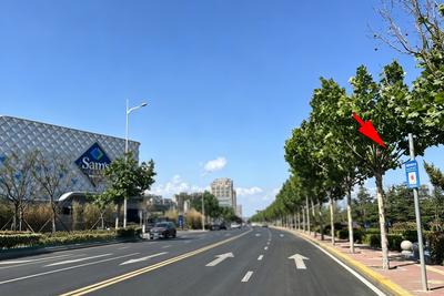 线路覆盖山东多地！青岛汽车总站山姆会员商店定制客运乘车点投运