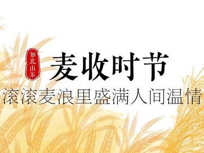 如此山东｜麦收时节，滚滚麦浪里盛满人间温情