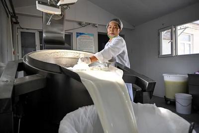 世界牛奶日｜喝够奶、选对奶，这份乳制品选购指南请收好