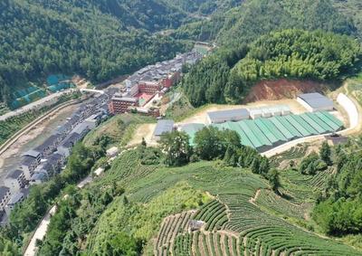 老人意外受伤，两名校车驾驶员紧急施救