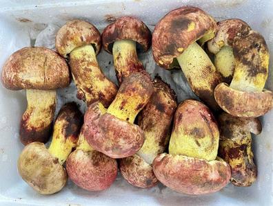云南一对夫妻食菌后出现幻觉，丈夫误将妻子认作蛇，二人楼道缠斗，医生提醒