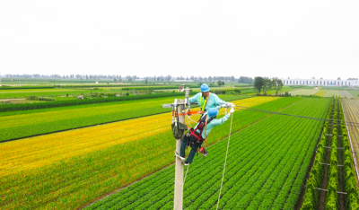 保障用电，一场“无感”检修在这里完成……