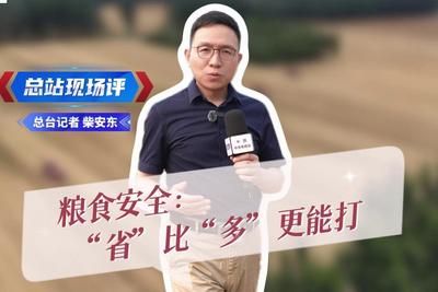 粮食安全：“省” 比“多”更能打