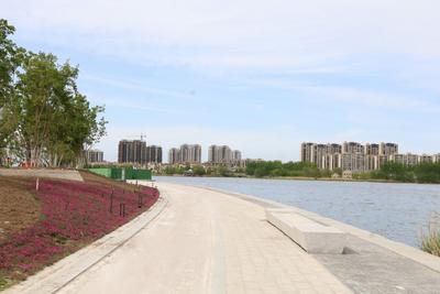 胶州少海片区：打造国际健康医疗康养基地