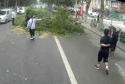 断枝挡路，众人清障……风雨中，青岛街头这一幕真暖心