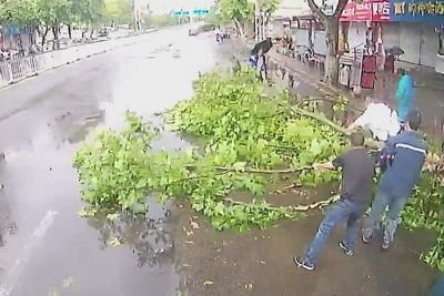 风雨过后，青岛街头这一幕幕暖了整座城……