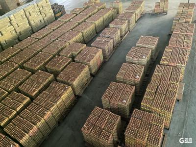 20吨“留洋蛋”启航，平度品牌鸡蛋卖到非洲