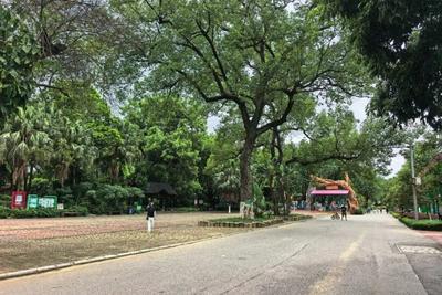 柳州动物园发布情况说明：视频中的积水画面并非大熊猫馆