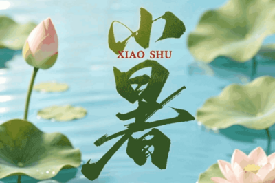 节气化谣 | 小暑宜吃羊肉进补？穿得越少越凉快？