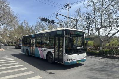 客流突破600万！这条4公里微循环线路打造青岛公交线网优化标杆