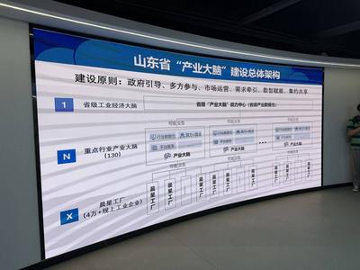 开局之年看中国·解码“产业大脑”丨让神经生长，让肌体有力