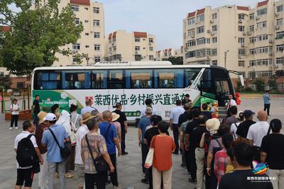 “莱西优品·乡村振兴直通车” 市北区首发启程