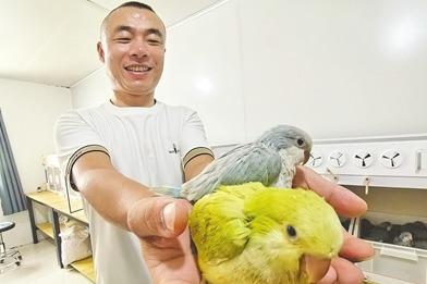 销往全国20余个省市！青岛山坳深处藏着座“鹦鹉王国”