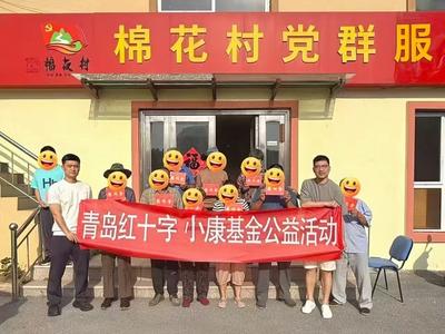 暖心帮扶送关怀！青岛红十字小康基金走进惜福镇街道棉花村