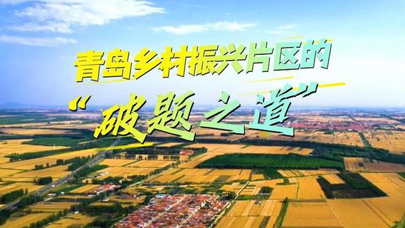 青岛乡村振兴片区的“破题之道”