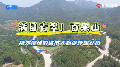 满目青翠白果山！携宠漫步的城市天然深呼吸公园